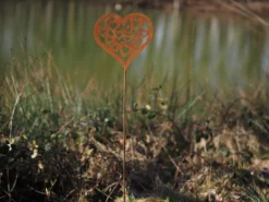 Tuinsteker hartje 22x100cm