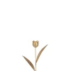 Tulp metaal goud s (8x4x30cm)