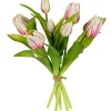 Tulpenbundel creme/roze