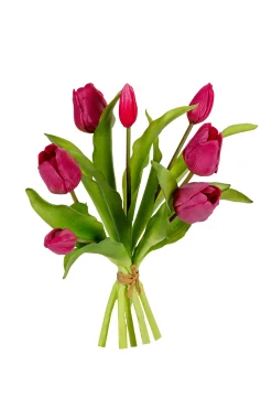 Tulpenbundel kersenrood
