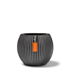 Vaas bol Groove 29x26