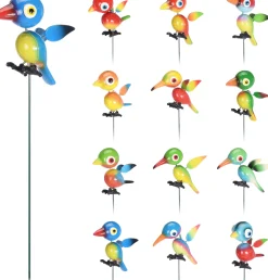 Vogel op stok 12 ass