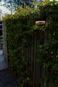 Vyzor solar wandlamp