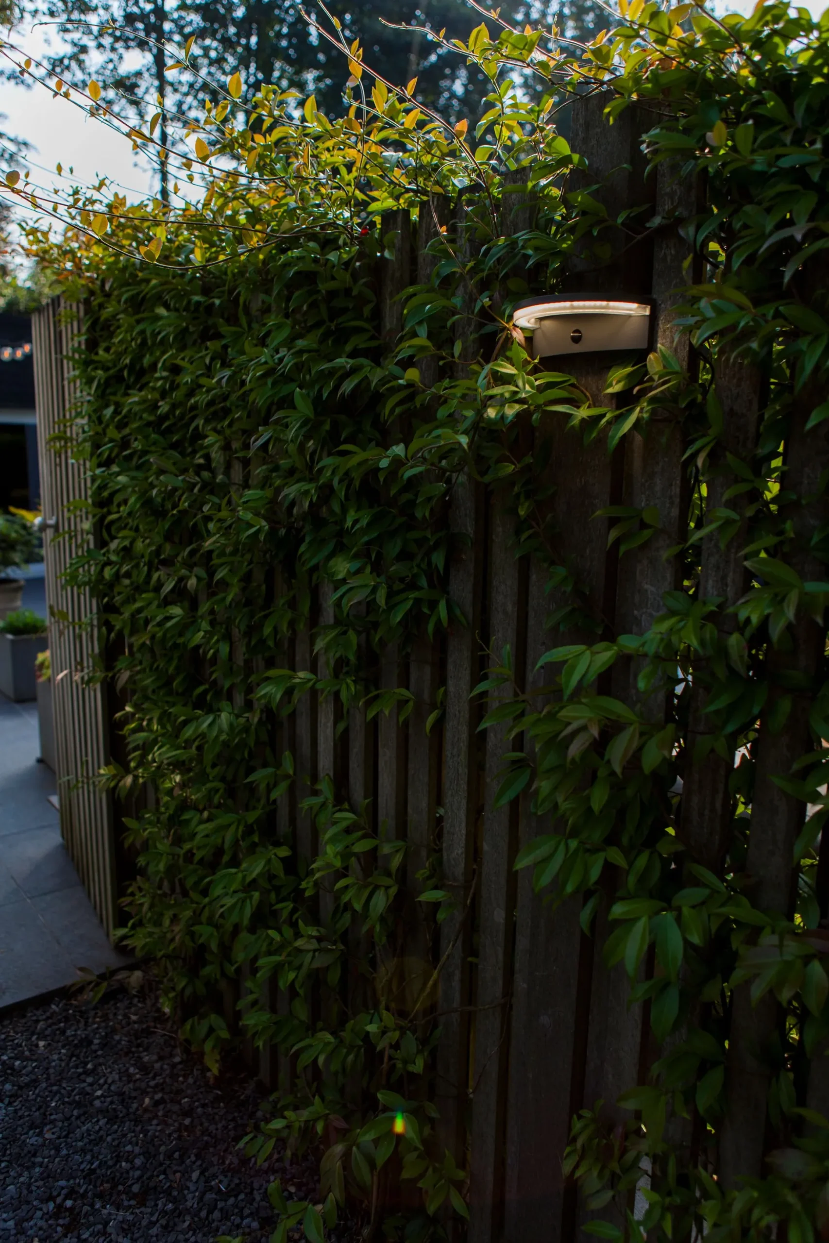 Vyzor solar wandlamp