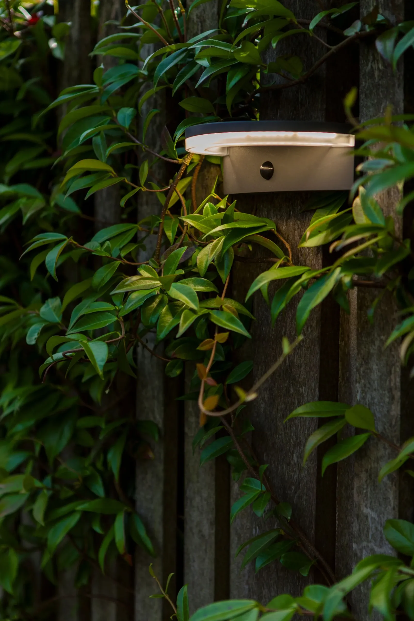 Vyzor solar wandlamp