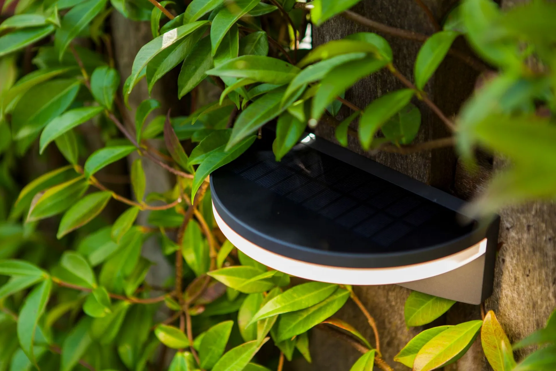 Vyzor solar wandlamp