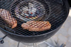 Warmtecontroleset voor houtskoolbarbecues