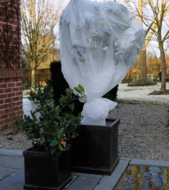 Winterafdekvlies 2x5m wit 30g/m²