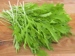 Zaden: aziatischesla mizuna