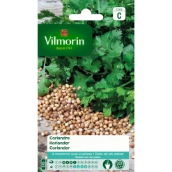 Zaden koriander 4g