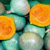 Zaden: pompoen blue ballet