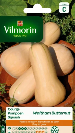 Zaden pompoen waltham butternut 2g