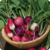 Zaden: radijs gemengd