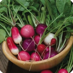 Zaden: radijs gemengd
