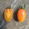 Zaden: tomaat blush